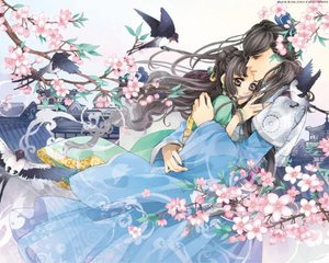 91看网页版无登录